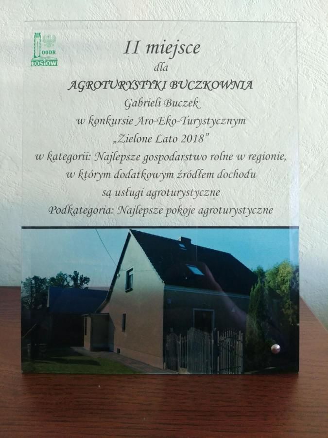 Фермерские дома Buczkownia Prusków-21